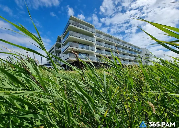 365PAM Westin House LUX - BASEN